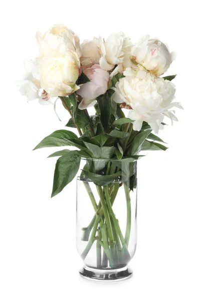 Beautiful Peonies Vase Isolated White — Stock Photo, Image