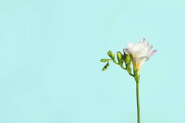 淡蓝色的背景上美丽的粉红色的自由女神 案文的篇幅 — 图库照片