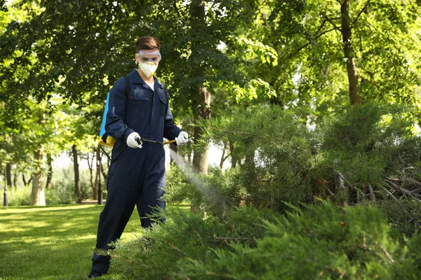 Arbeiter Sprühen Pestizide Auf Grünen Busch Freien Schädlingsbekämpfung — Stockfoto