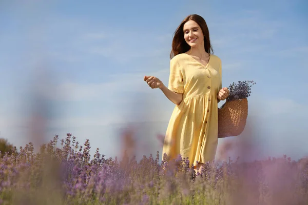 Wanita Muda Dengan Tas Genggam Penuh Bunga Lavender Lapangan Pada — Stok Foto