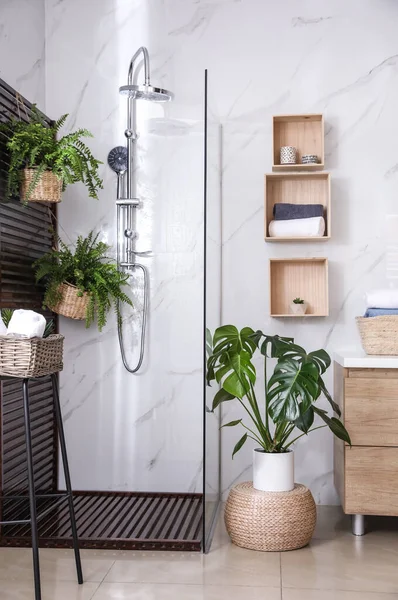 Bathroom Interior Shower Stall Houseplants Idea Design — Stock Photo, Image