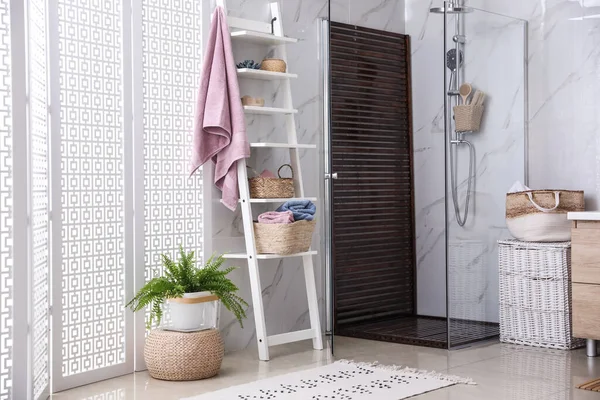 Salle Bain Intérieure Avec Cabine Douche Étagère Idée Design — Photo