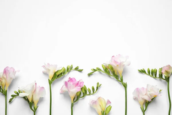 Beautiful Blooming Pink Freesias White Background Flat Lay Space Text — Stock Photo, Image