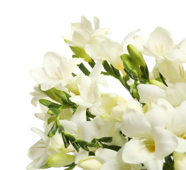 Красиві Квіти Фрезії Білому Тлі Крупним Планом — стокове фото