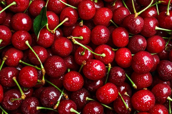 Cerezas Rojas Dulces Con Gotas Agua Como Fondo Primer Plano — Foto de Stock