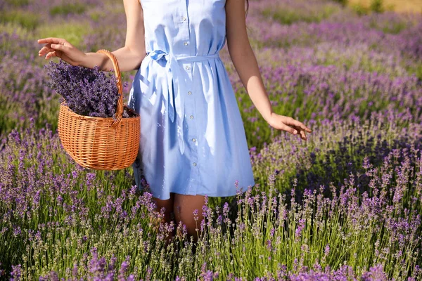 Mujer Joven Con Cesta Mimbre Llena Flores Lavanda Campo Primer — Foto de Stock