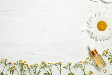 Düz kompozisyon, papatya çayı ve bir şişe temel yağı beyaz ahşap masa üzerinde. Metin için boşluk