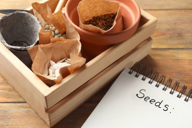 Farklı sebze tohumları ve defter içeren ahşap sandık, yakın plan.