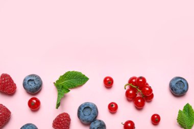Pembe arka planda taze böğürtlen karışımı. Metin için boşluk