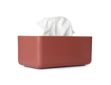 Kağıt mendilli tutucu beyaz üzerine izole edilmiş