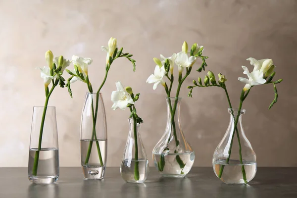 Hermosas Flores Freesia Jarrones Sobre Mesa Gris — Foto de Stock