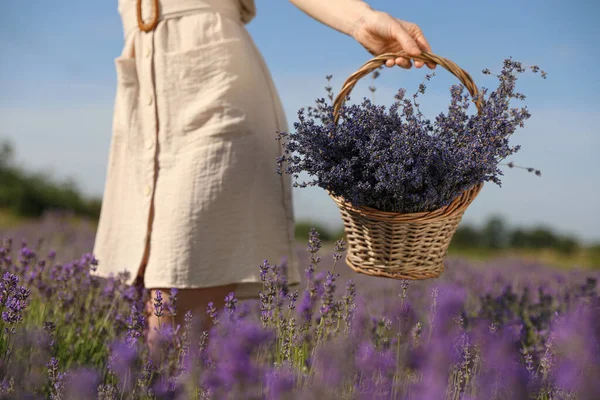 Jovem Com Cesta Vime Cheia Flores Lavanda Campo Close — Fotografia de Stock