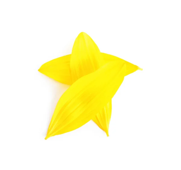 Čerstvé Žluté Slunečnicové Okvětní Lístky Izolované Bílém Horní Pohled — Stock fotografie