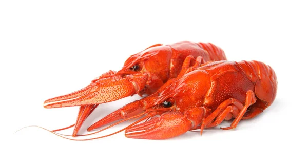 Fresh Delicious Boiled Crayfish Isolated White — Stock Photo, Image