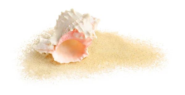 Schöne Muschel Und Sand Auf Weißem Hintergrund — Stockfoto