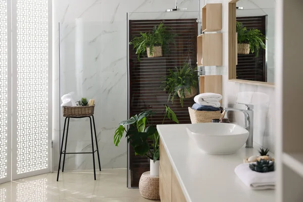 Salle Bain Intérieure Avec Cabine Douche Comptoir Plantes Intérieur Idée — Photo