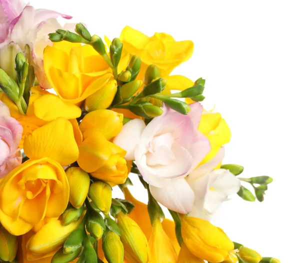 Букет Красивих Квітів Фрезії Білому Тлі Крупним Планом — стокове фото
