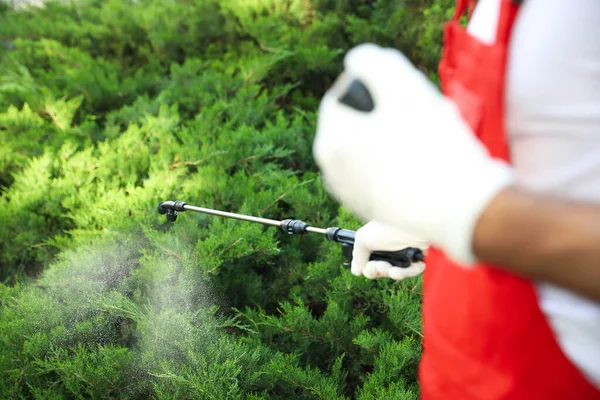 Lavoratore Che Spruzza Pesticidi Cespuglio Verde All Aperto Primo Piano — Foto Stock