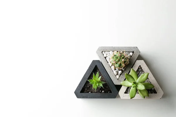 Mehukkaat Kasvit Kaktus Valkoisella Pöydällä Tasainen Lay Tekstitila — kuvapankkivalokuva