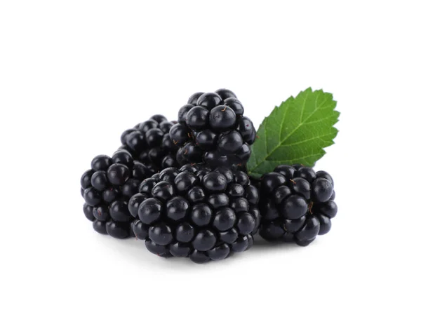 白色背景的成熟黑莓和叶子的味道 — 图库照片