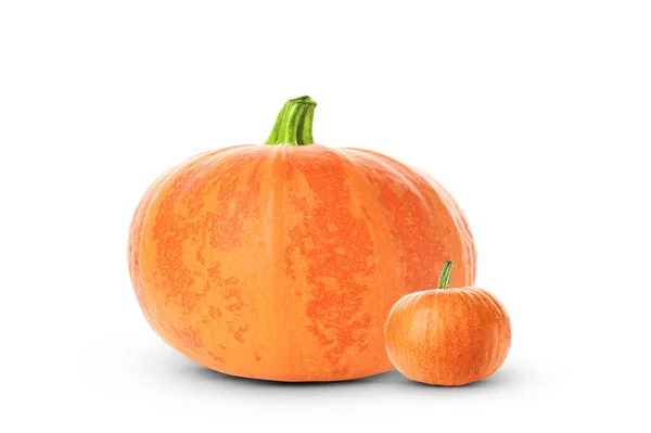 Two Fresh Ripe Pumpkins Isolated White — Stock Photo, Image