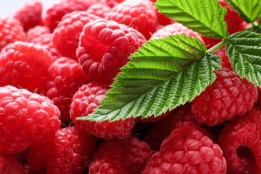 Taze olgun ahududu yaprakları arka planda, yakın plan