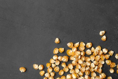 Çiğ kuru mısır tohumu ve gri arkaplan üzerine yazı için boşluk. Sebze ekimi