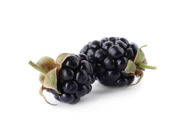 Lezzetli taze böğürtlenler beyaza izole edilmiş