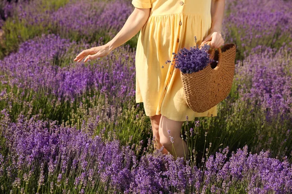 Mujer Joven Con Bolso Mimbre Lleno Flores Lavanda Campo Primer — Foto de Stock