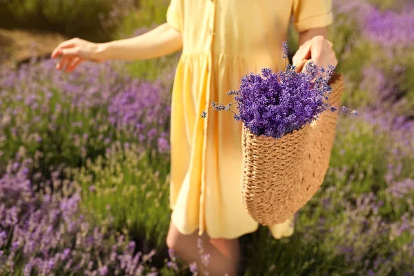 Młoda Kobieta Wiklinową Torebką Pełną Kwiatów Lawendy Polu Zbliżenie — Zdjęcie stockowe