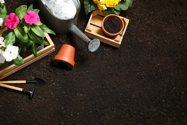 Flat Lay Composition Gardening Tools Flowers Soil Space Text — Stock Photo, Image
