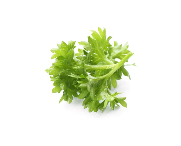 Fresh Green Curly Parsley White Background — Stock Photo, Image