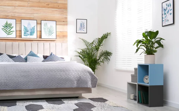 Stijlvol Interieur Met Groot Comfortabel Bed Prachtige Schilderijen — Stockfoto