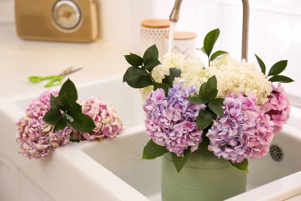 Kytice Krásnými Květy Hortenzie Dřezu Detailní Záběr — Stock fotografie