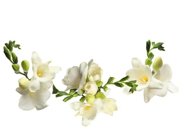 Set Mit Schönen Duftenden Freesia Blumen Auf Weißem Hintergrund — Stockfoto