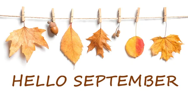 Hello September Card Rope Autumn Leaves Hanging White Wall — Stock Photo, Image
