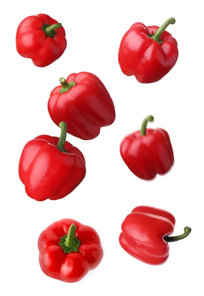 Röd Bell Paprika Faller Vit Bakgrund — Stockfoto