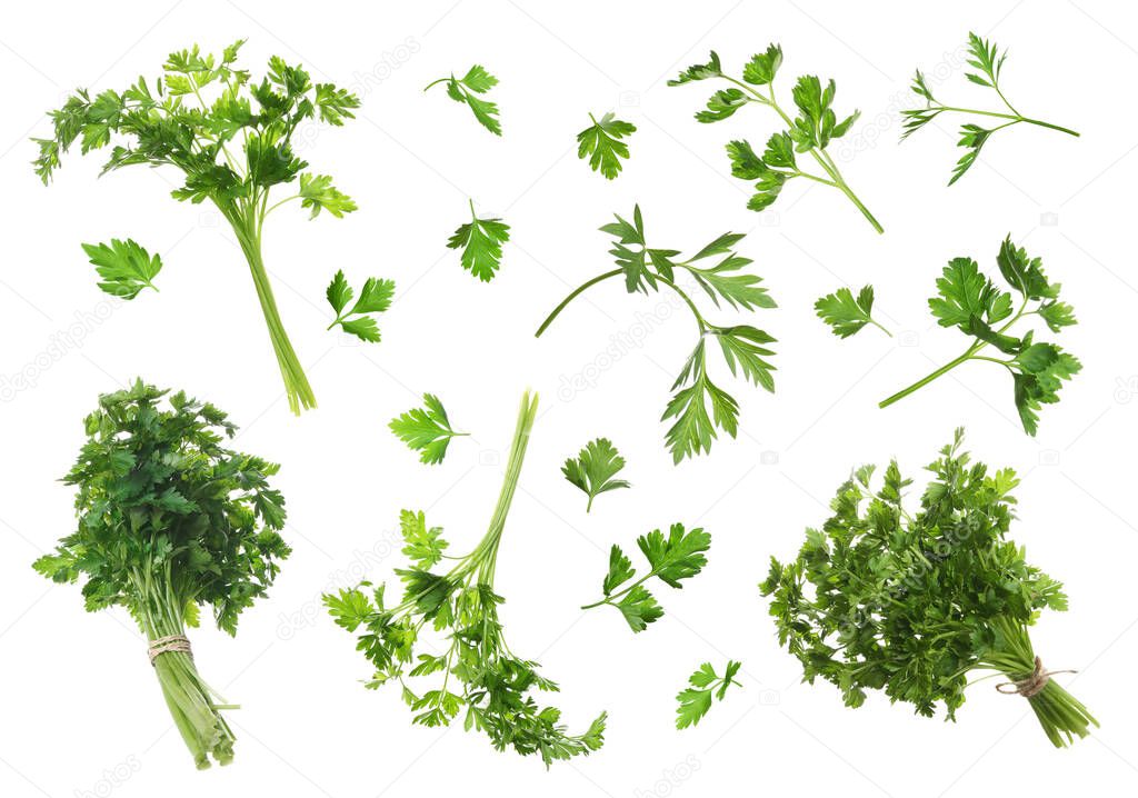 Set with green parsley on white background