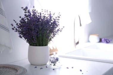 Mutfaktaki tezgahın üstünde güzel lavanta çiçekleri. Metin için boşluk