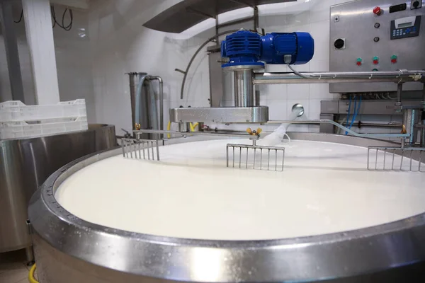 チーズ工場のカード調製タンクの牛乳 — ストック写真