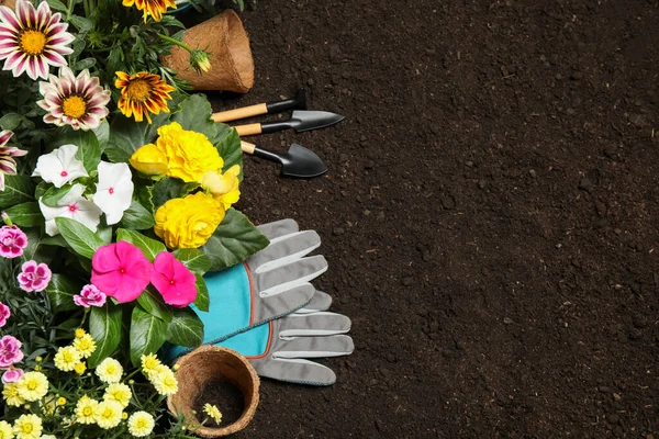 Composição Leigos Planos Com Ferramentas Jardinagem Flores Solo Espaço Para — Fotografia de Stock