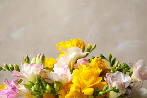 Hermosas Freesias Florecientes Sobre Fondo Gris Primer Plano Espacio Para —  Fotos de Stock