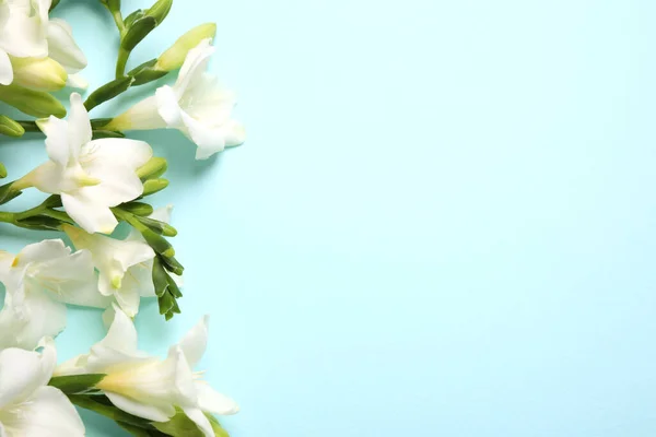 Hermosas Flores Freesia Sobre Fondo Azul Claro Planas Espacio Para — Foto de Stock