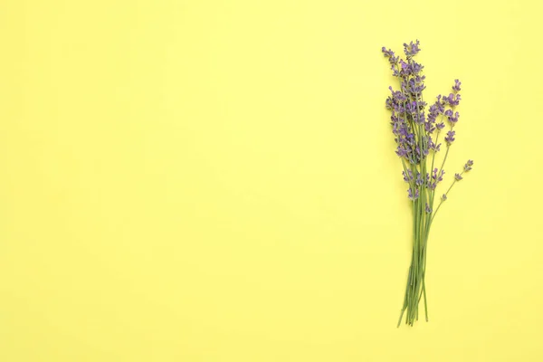 Schöne Lavendelblüten Auf Gelbem Hintergrund Draufsicht Raum Für Text — Stockfoto