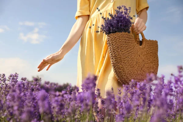 Wanita Muda Dengan Tas Tangan Wicker Penuh Bunga Lavender Lapangan — Stok Foto