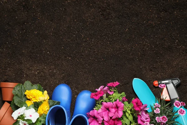 Composição Leigos Planos Com Ferramentas Jardinagem Flores Solo Espaço Para — Fotografia de Stock