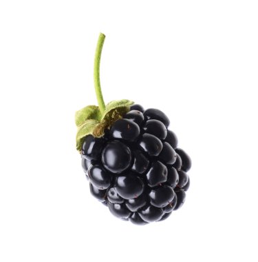 Lezzetli olgun böğürtlen beyazda izole edilmiş