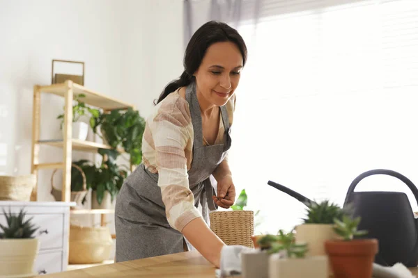 Planta Encapsulamiento Mujer Madura Casa Interesante Hobby — Foto de Stock