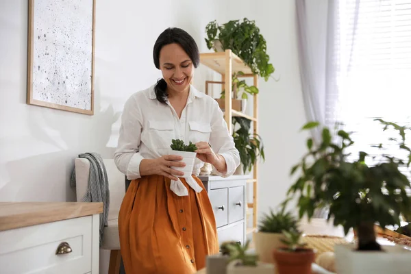 Mujer Madura Con Planta Suculenta Casa Interesante Hobby — Foto de Stock