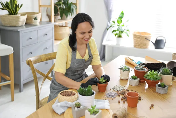 成熟的女人在家里种植肉质植物 从事业余爱好 — 图库照片
